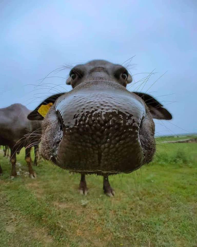 Аватар студента